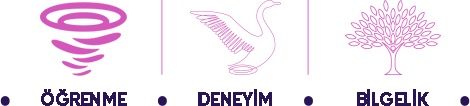 Öğrenme, Deneyim, Bilgelik